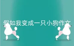 假如我变成一只小狗作文