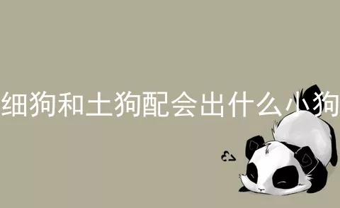 细狗和土狗配会出什么小狗