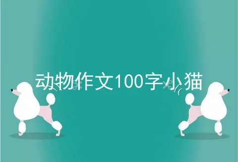 动物作文100字小猫