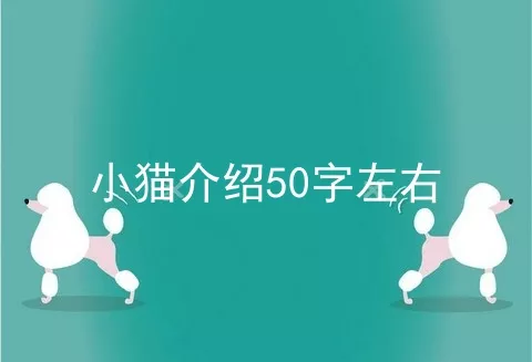 小猫介绍50字左右