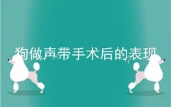 狗做声带手术后的表现