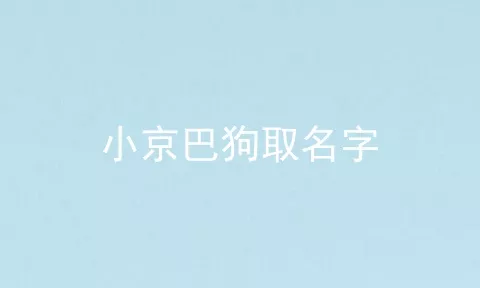 小京巴狗取名字