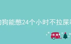 狗狗能憋24个小时不拉屎吗