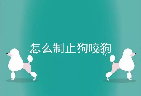 怎么制止狗咬狗