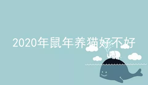 2020年鼠年养猫好不好