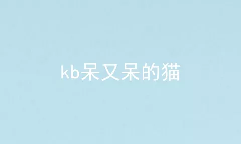 kb呆又呆的猫