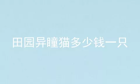 田园异瞳猫多少钱一只