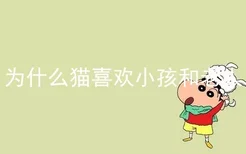 为什么猫喜欢小孩和老人