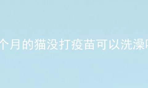 6个月的猫没打疫苗可以洗澡吗