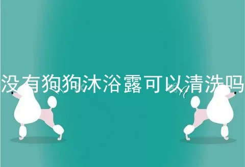 没有狗狗沐浴露可以清洗吗