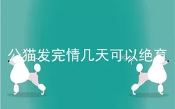 公猫发完情几天可以绝育