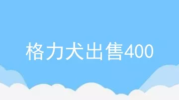 格力犬出售400