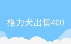 格力犬出售400