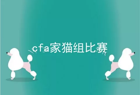 cfa家猫组比赛