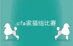 cfa家猫组比赛