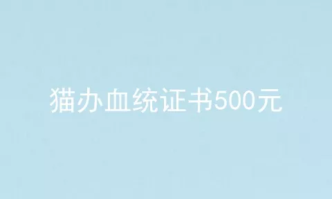 猫办血统证书500元