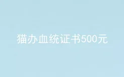 猫办血统证书500元