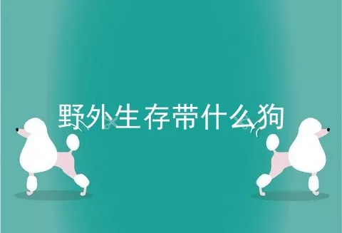 野外生存带什么狗