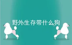 野外生存带什么狗