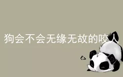 狗会不会无缘无故的咬人