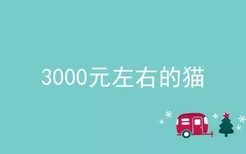 3000元左右的猫