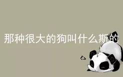 那种很大的狗叫什么斯的