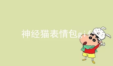 神经猫表情包gif