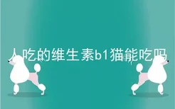 人吃的维生素b1猫能吃吗