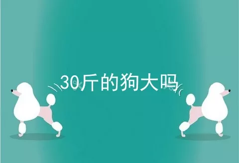 30斤的狗大吗