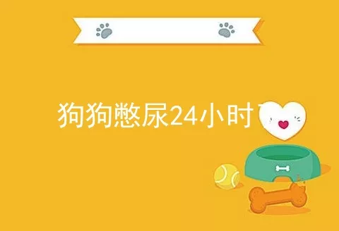 狗狗憋尿24小时了