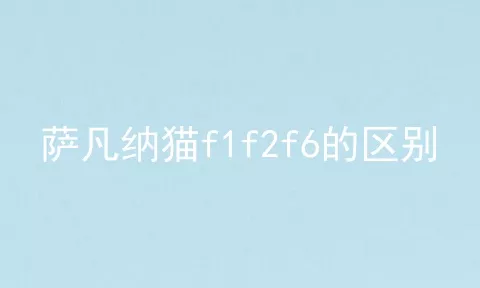 萨凡纳猫f1f2f6的区别