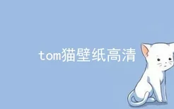 tom猫壁纸高清