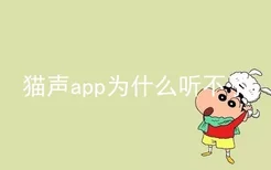 猫声app为什么听不了