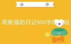 观察猫的日记400字四年级