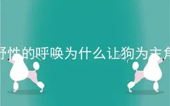 野性的呼唤为什么让狗为主角