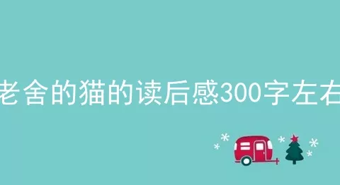 老舍的猫的读后感300字左右