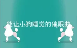 能让小狗睡觉的催眠曲