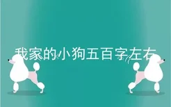 我家的小狗五百字左右