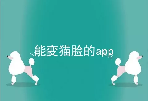 能变猫脸的app