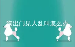 狗出门见人乱叫怎么办