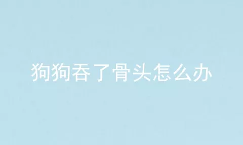 狗狗吞了骨头怎么办