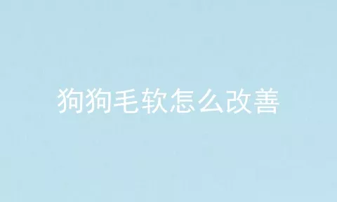 狗狗毛软怎么改善