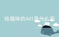 给猫咪的441是什么药