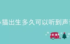 小猫出生多久可以听到声音