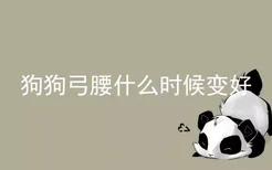 狗狗弓腰什么时候变好