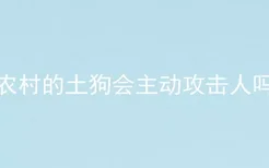 农村的土狗会主动攻击人吗