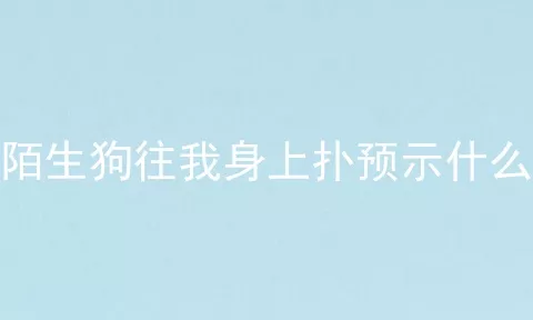 陌生狗往我身上扑预示什么