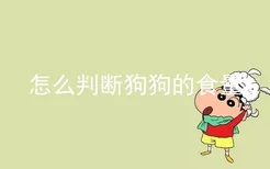 怎么判断狗狗的食量