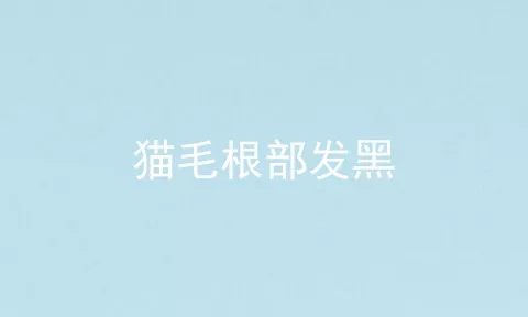 猫毛根部发黑