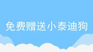 免费赠送小泰迪狗